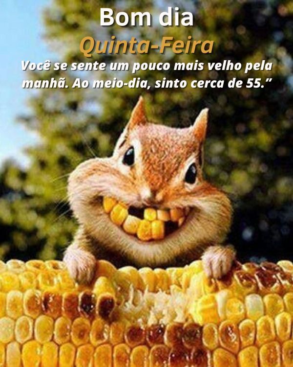 Imagens divertida quinta-feira