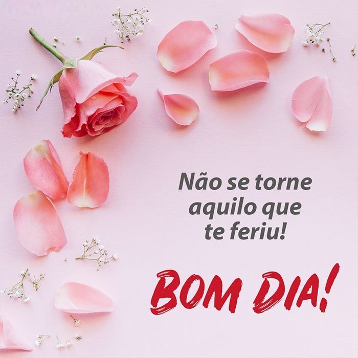 Bom dia! Reflita