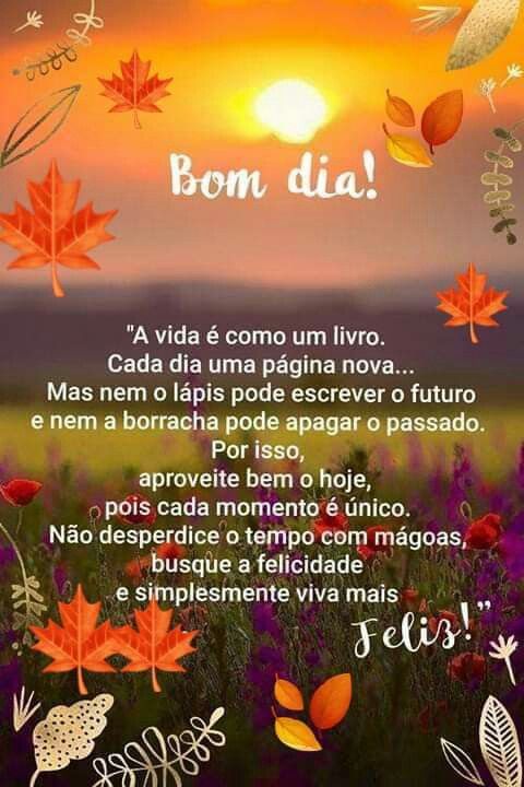 Bom dia, a vida é como um livro