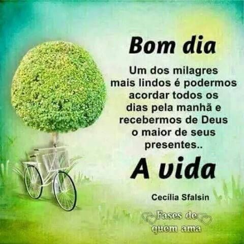 Bom dia, a vida é o maior milagre