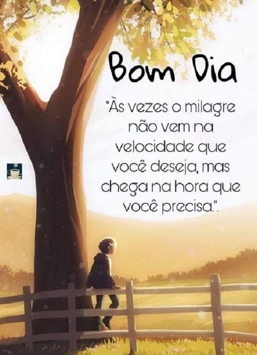 Bom dia, reflexão do dia