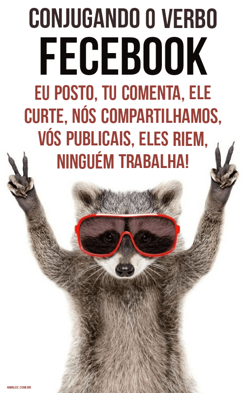 Fecebook com frases de humor