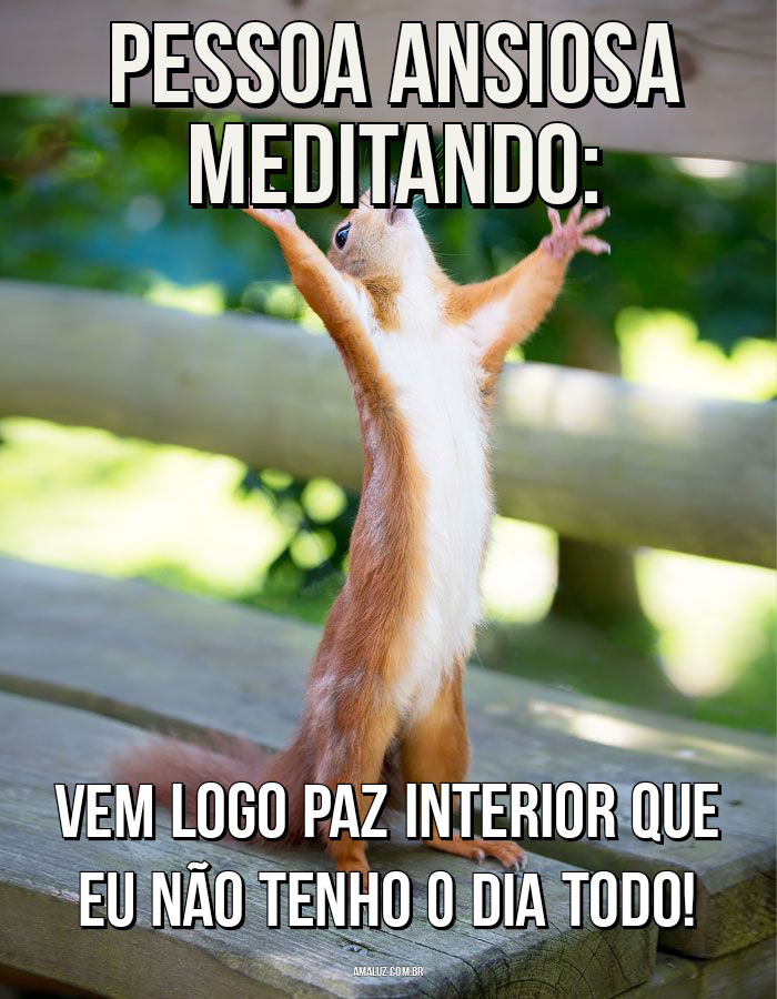 status  Memes engraçados, Meme engraçado, Frases engraçadas para rir