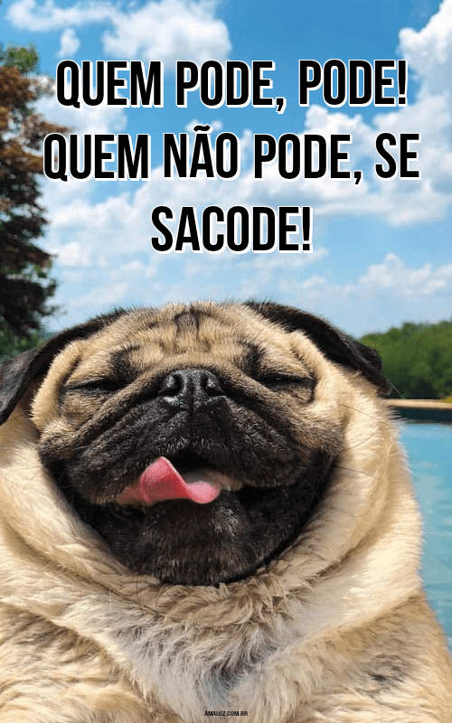 40 Frases engraçadas para Whatsapp, Facebook e Grupos