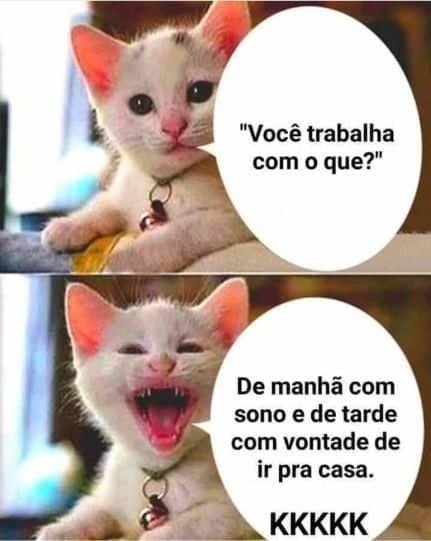 Frases de memes engraçadas