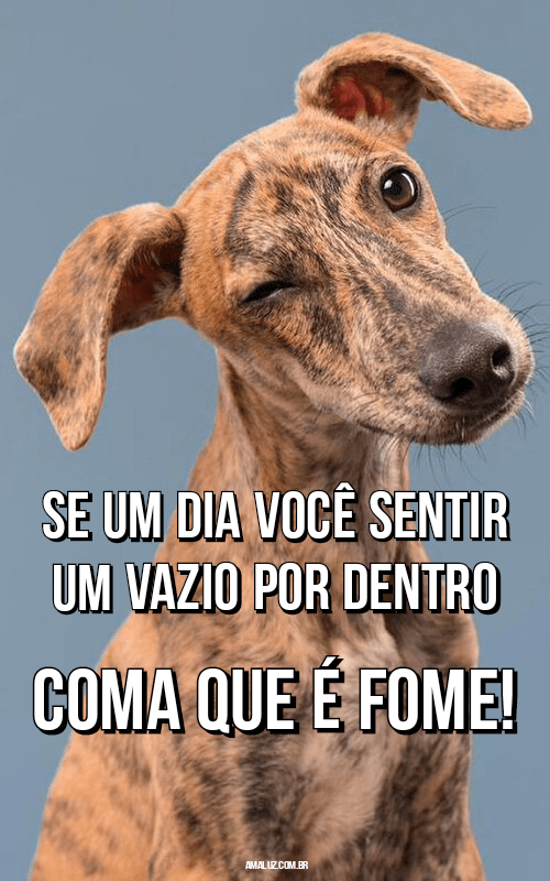 Memes Engraçados para Status e Grupos no WhatsApp