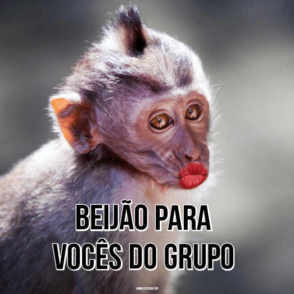 Frases divertidas para grupos do Whatsapp