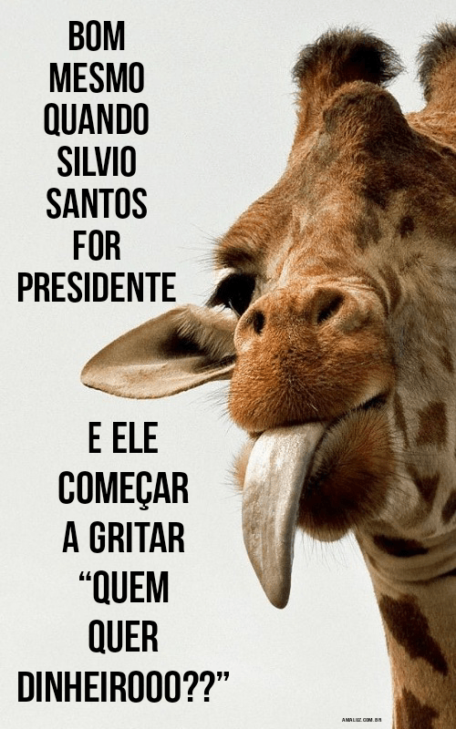 Frases divertidas