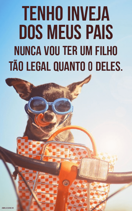 Frases engraçadas para fecebook