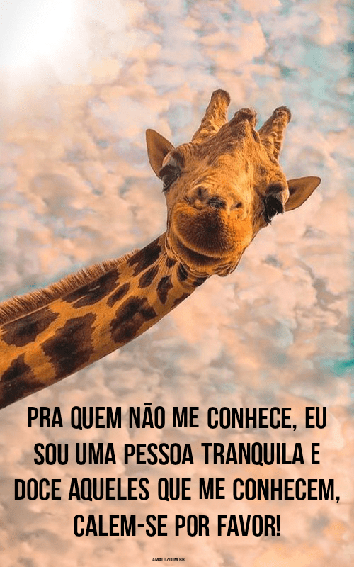 Frases engraçadas