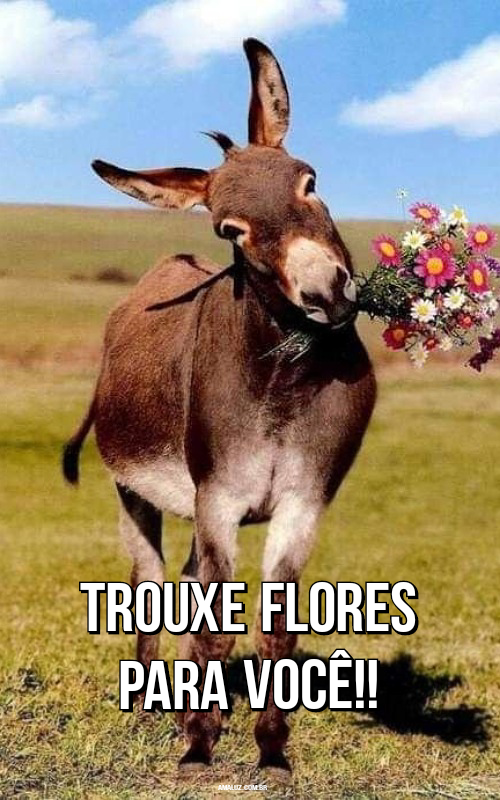 Frases humorísticas para WhatsApp