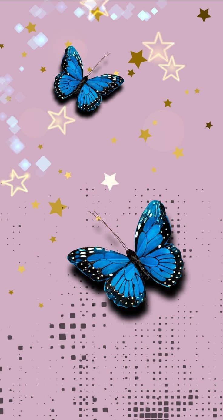 Imagens delicadas de papel de parede