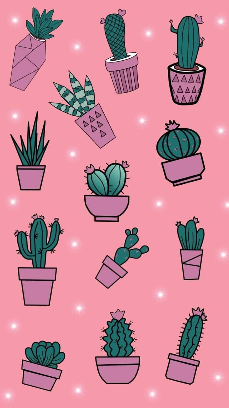 Papel de parede rosa com cacto