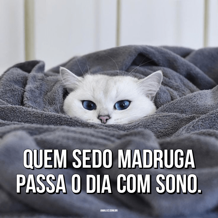 Quem sedo madruga passa o dia com sono
