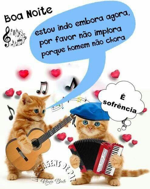 Boa noite estou indo embora 