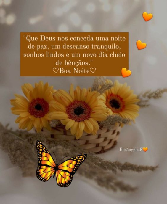 Uma noite de descanso tranquilo