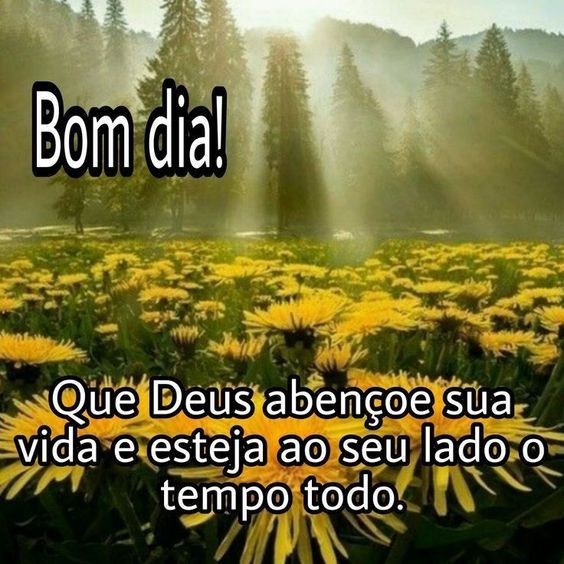 Deus abençoe sua vida