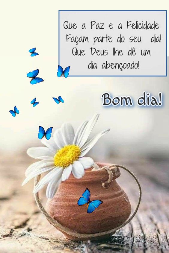 X 上的 Misticos Online：「Bom dia com amor e alegria!!!🦋🦋🦋   / X