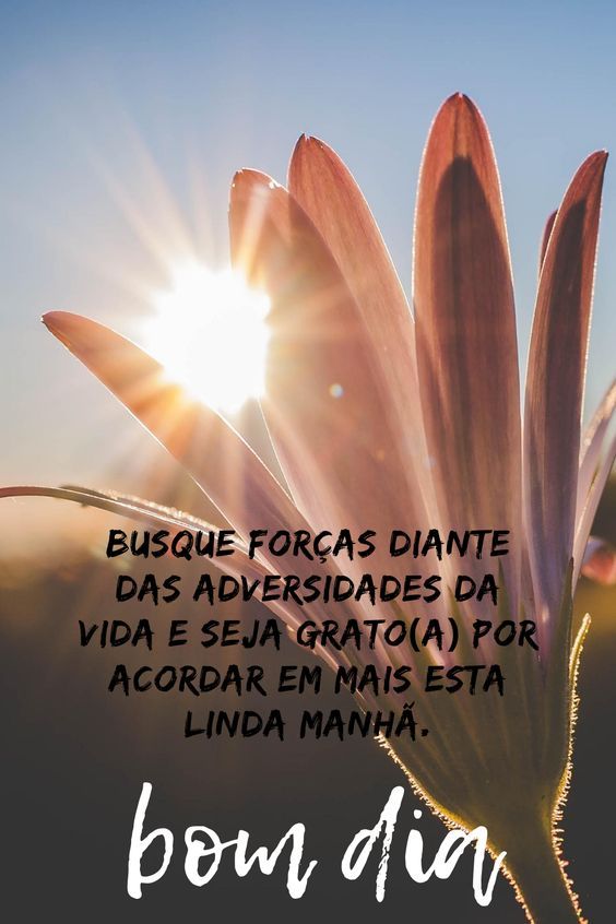 Acordar em mais esta 