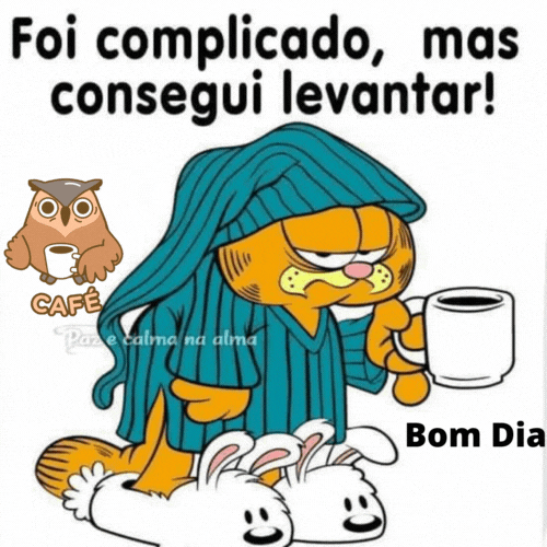 Bom dia consegui levantar