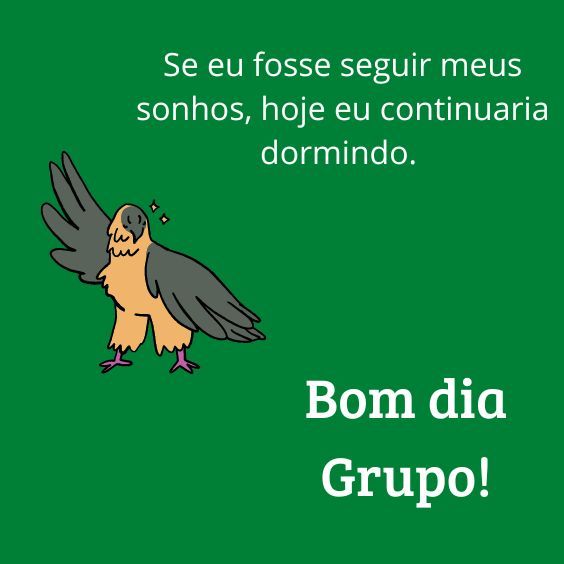 Bom dia grupo eu dormindo