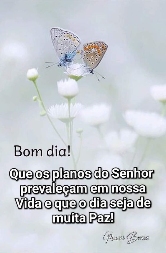 Bom dia seja de muita paz