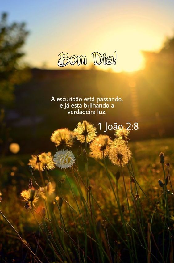 Bom dia a verdadeira luz