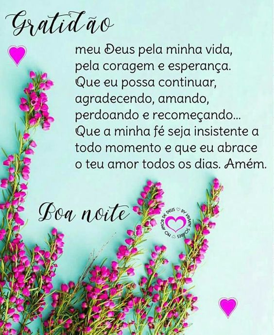 Gratidão meu Deus pela minha vida