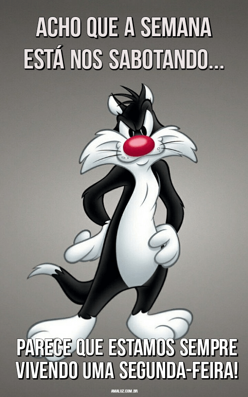 Segunda-feira engraçada com imagens para WhatsApp