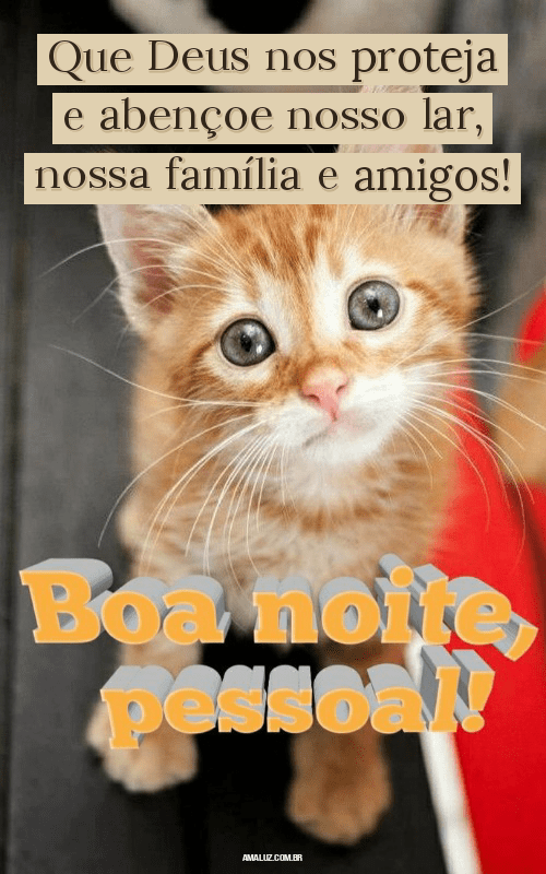 Imagens para animar a noite da família