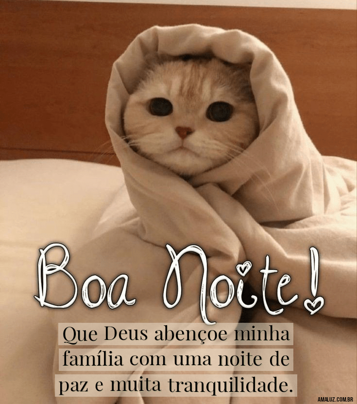 Frases de boa noite para família 