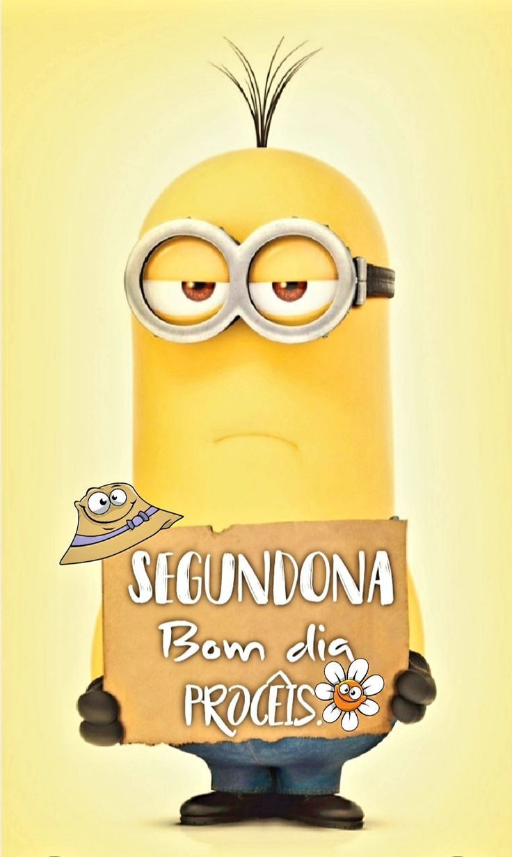 Segundona bom dia