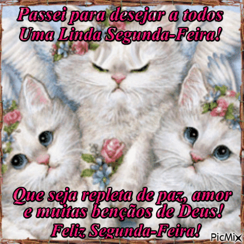 Passei para desejar linda segunda