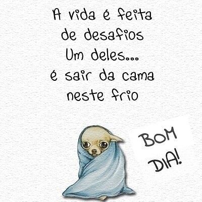 A vida e os desafios