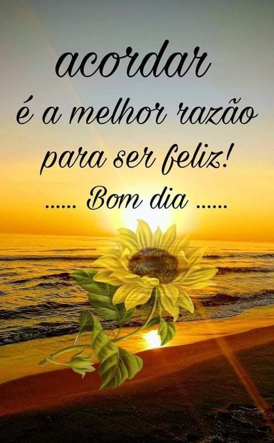 70 Frases Animadas De Bom Dia Com Café E Imagens De Flores 70 Frases Animadas De Bom Dia Com Café E Imagens De Flores