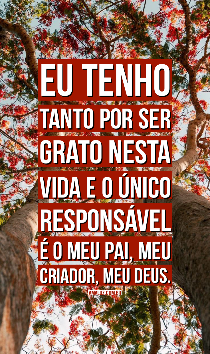 Frases de gratidão a Deus pela vida