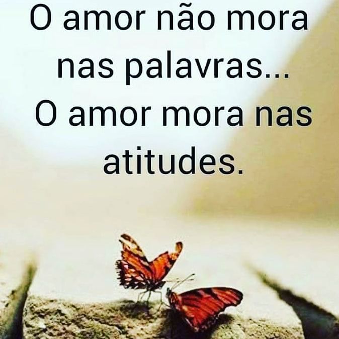 O amor, Frases para status