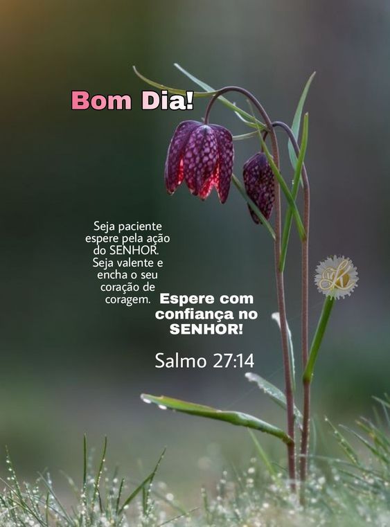 Espere com confiança no Senhor