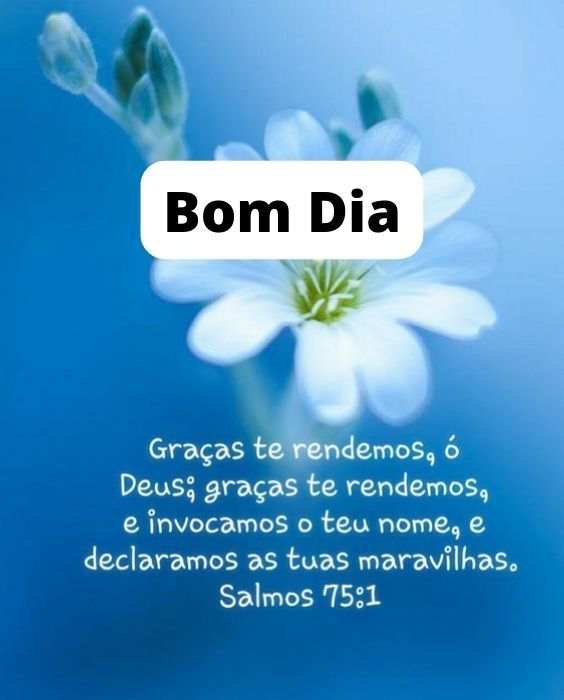 Salmos 75:1