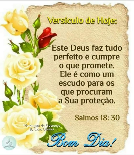 Versículo de hoje 