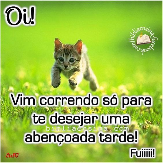 Vim correndo para te deseja boa tarde! imagens de boa tarde.