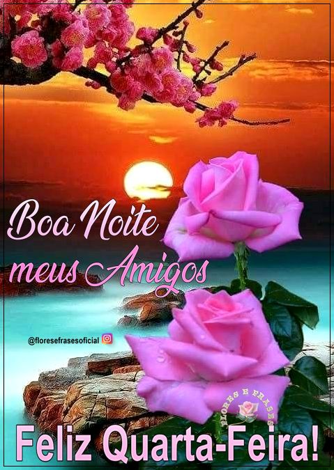 Boa Noite amigos feliz quarta feira.