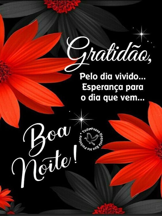 Boa noite com gratidão