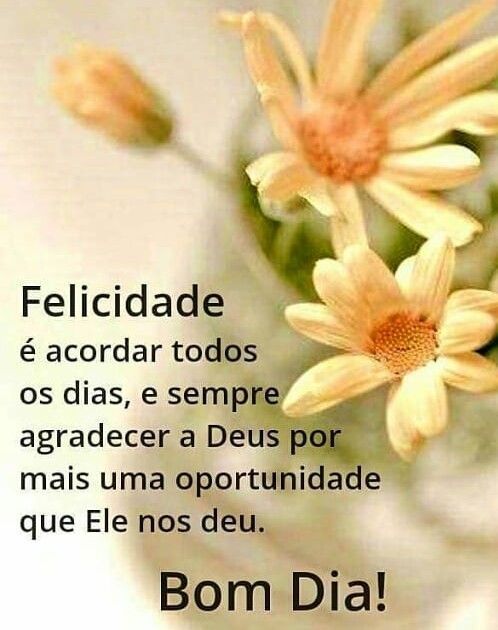 A felicidade é acordar todos os dias