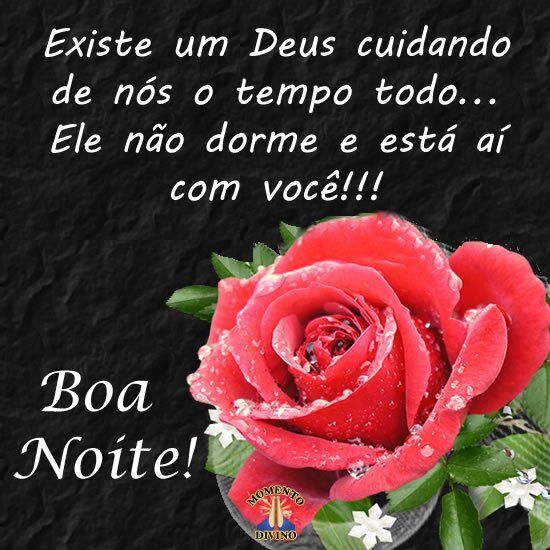 Boa noite bela paisagem e flores!