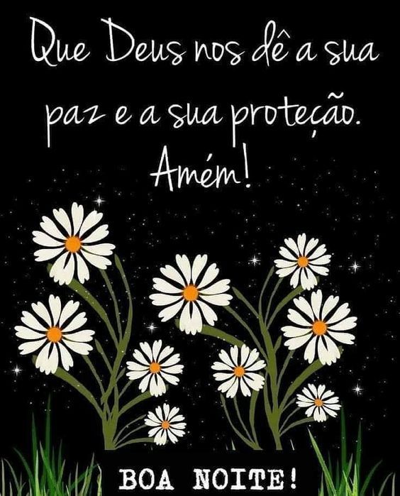 Noite de paz e proteção